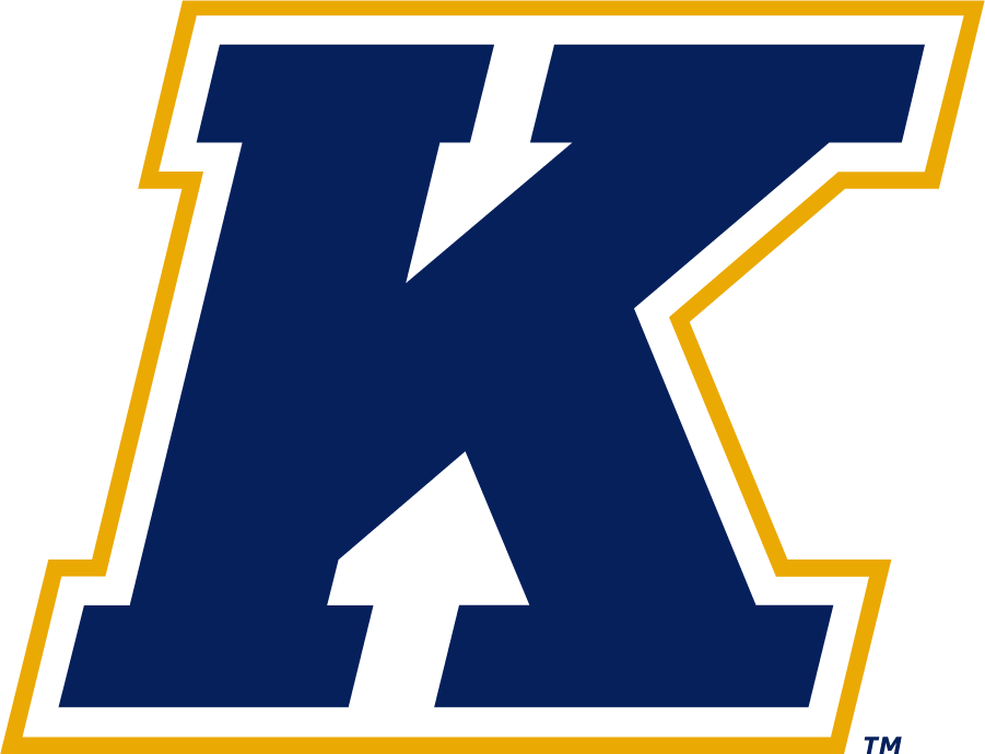 Kent State Golden Flashes 2017-Pres Secondary Logo diy iron on heat transfer